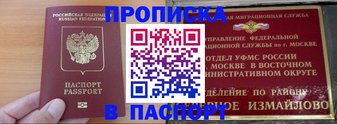 прописка в Сольцах